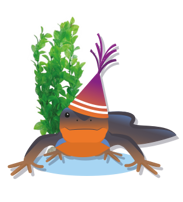 kikker