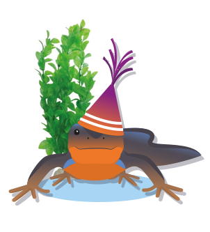 tekening salamander