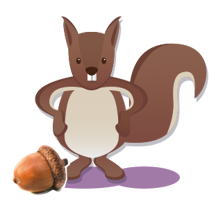 eekhoorn
