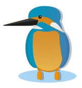 tekening ijsvogel