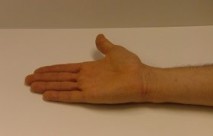 foto hand